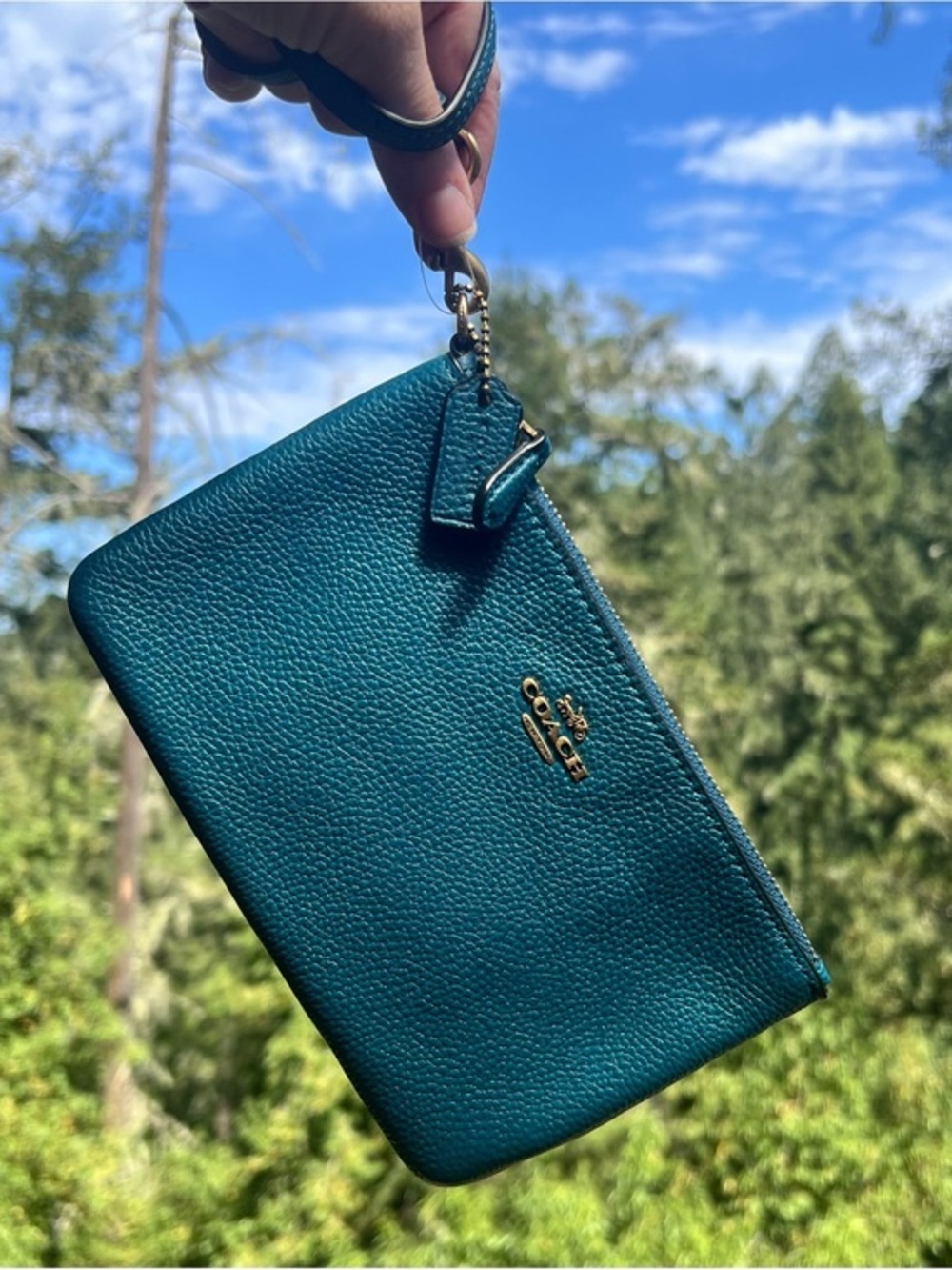 COACH Small Turquoise Pebble Leather Wristlet Wallet Clutch Gold Hardware NWT